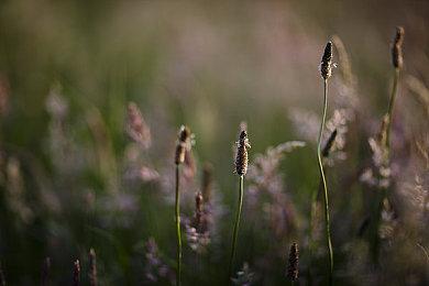 放置钓鱼游戏《猫猫钓游记》Steam页面上线 支持简体中文